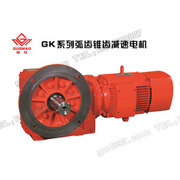 弧齒錐齒輪減速機(jī)